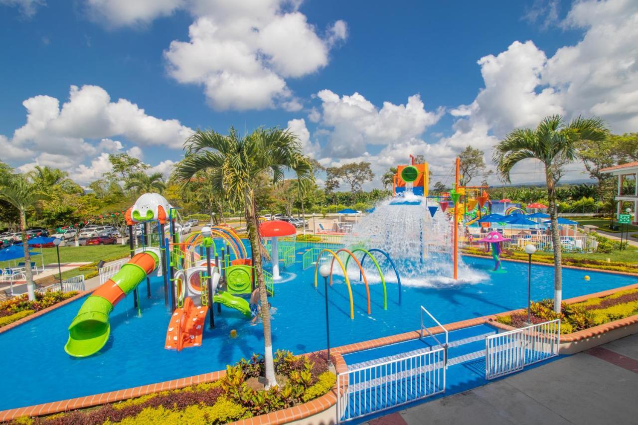 Campestre Camelias