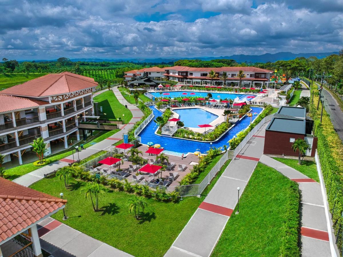 Campestre Camelias
