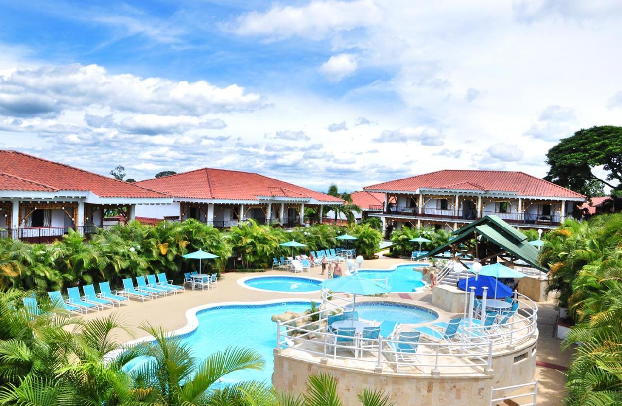 Campestre Camelias