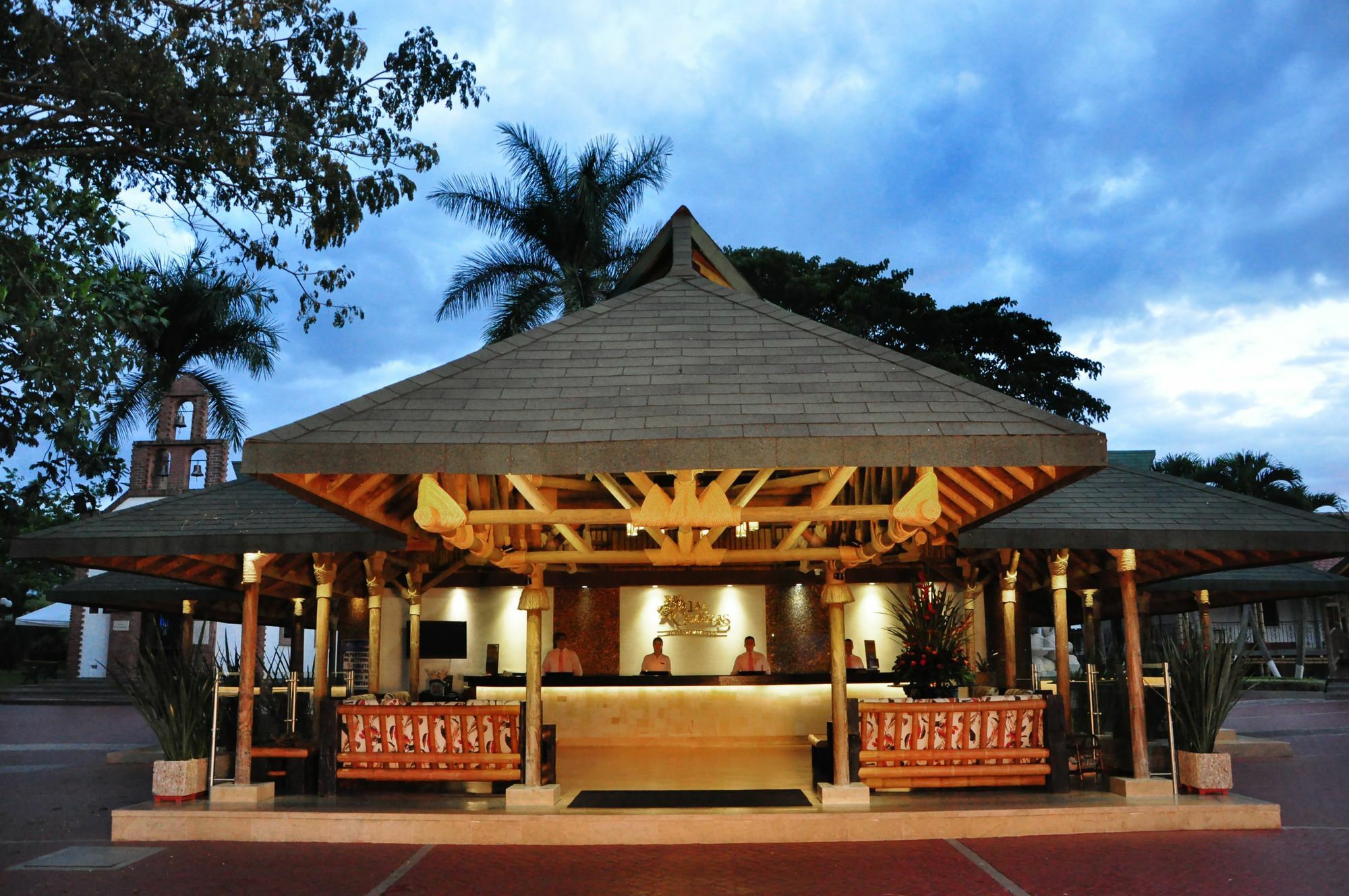 Campestre Camelias